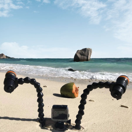 https://thehonestdiver.com/wp-content/uploads/2020/10/Ammonite-Stingray-Video-Set-Beach.jpg
