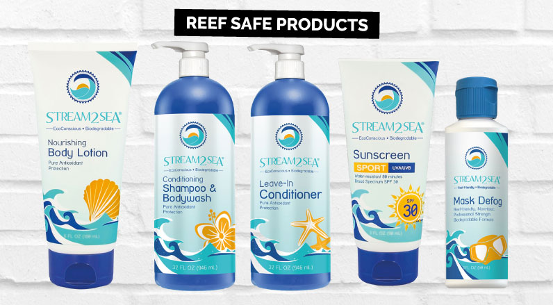 Best reef safe products for snorkelling