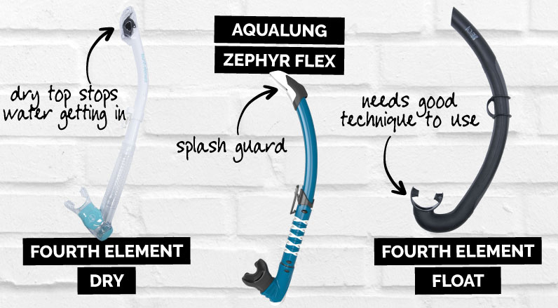 Best snorkels for snorkelling