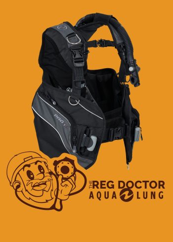 Aqualung BCD and Wing servicing